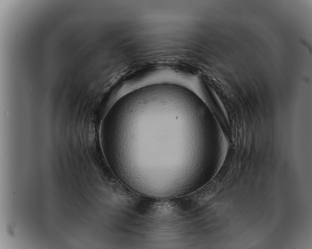 X0000091860704200709121330