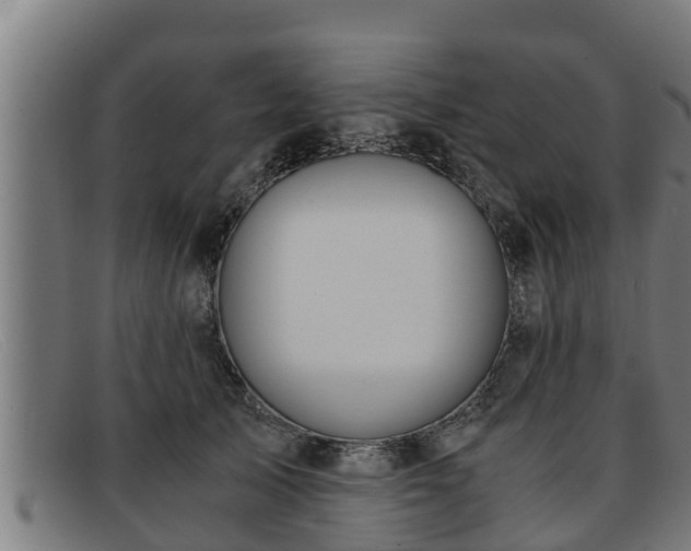 X0000091860705200709121330