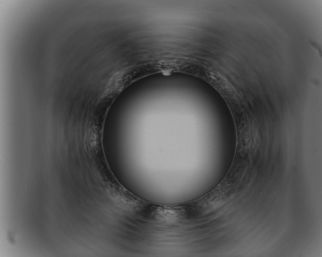 X0000091860706200709121330