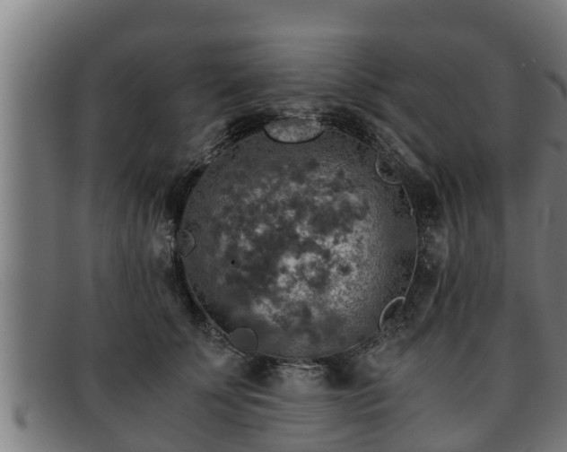 X0000091860707200709121330