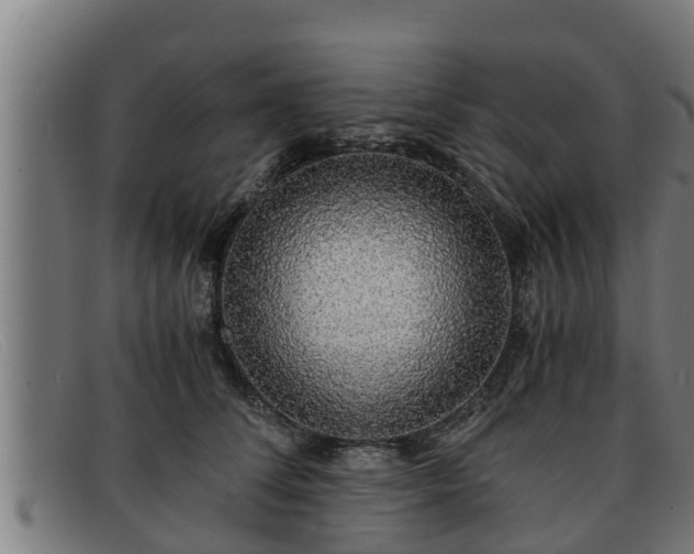 X0000091860708200709121330