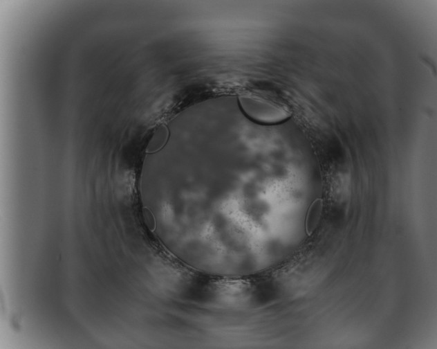 X0000091860711200709121330