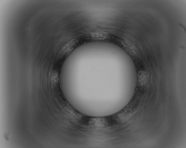 X0000091860713200709121330