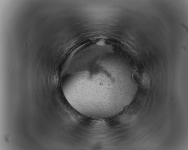 X0000091860715200709121330