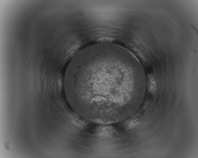 X0000091860716200709121330