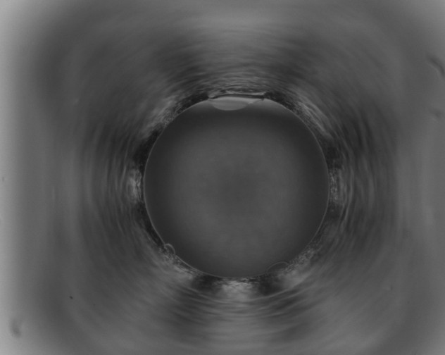 X0000091860718200709121330