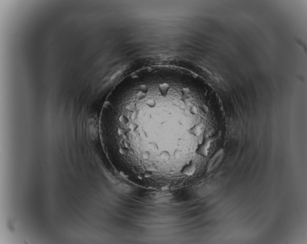 X0000091860719200709121330