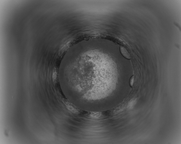 X0000091860720200709121330