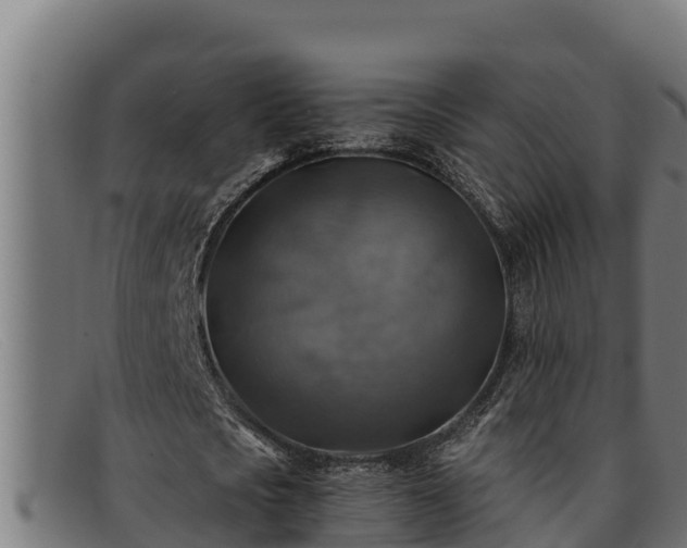 X0000091860721200709121329