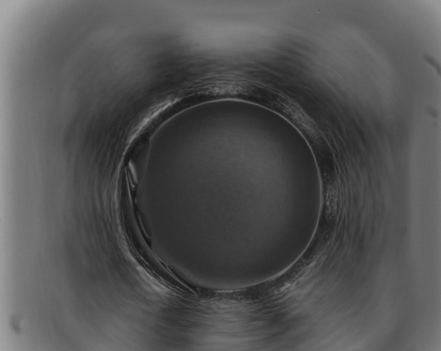 X0000091860722200709121329