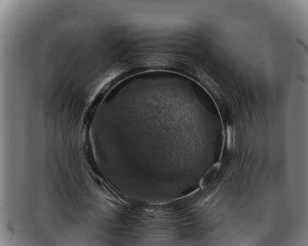 X0000091860723200709121329