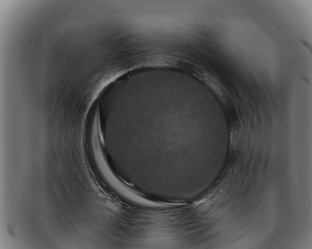 X0000091860724200709121329