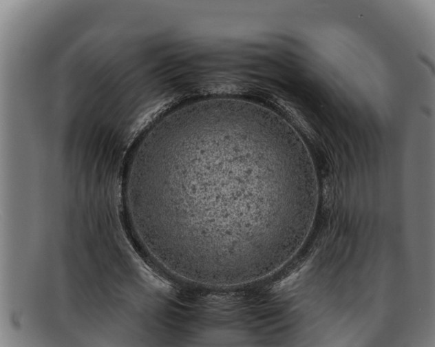 X0000091860725200709121329