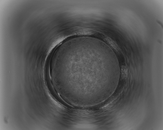 X0000091860726200709121329