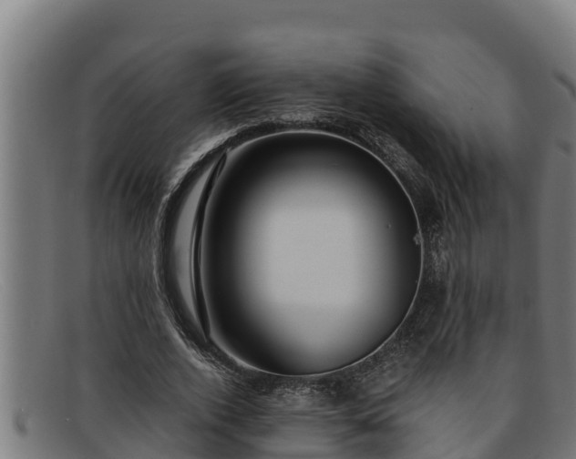 X0000091860728200709121329