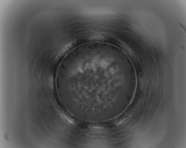 X0000091860729200709121329