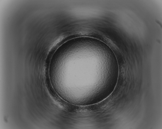 X0000091860730200709121329