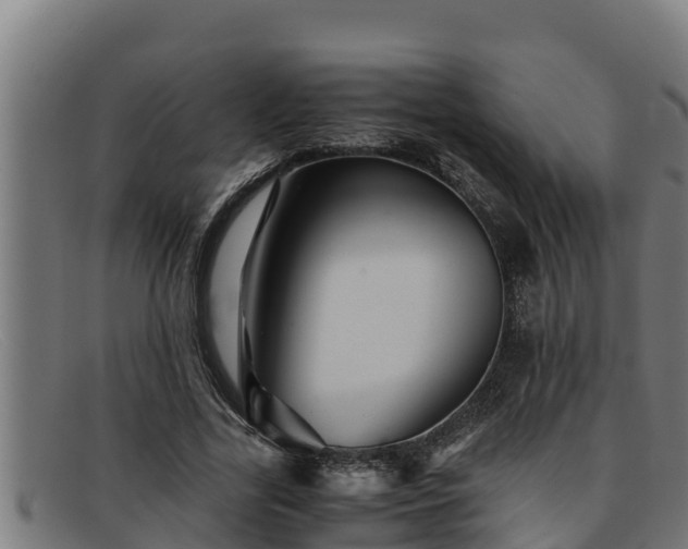 X0000091860731200709121329