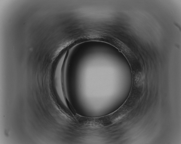 X0000091860732200709121329