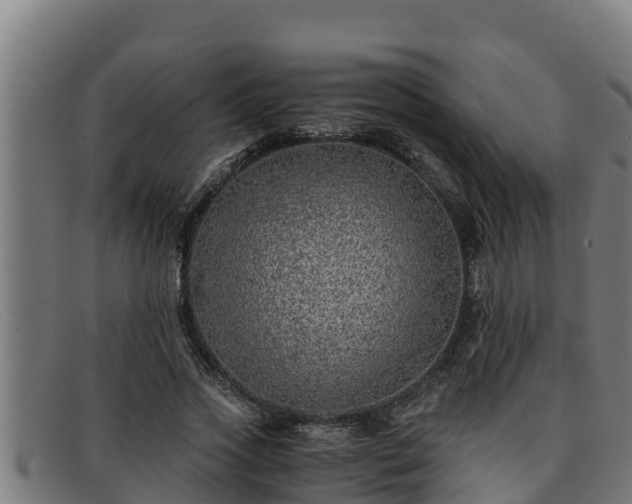 X0000091860733200709121329