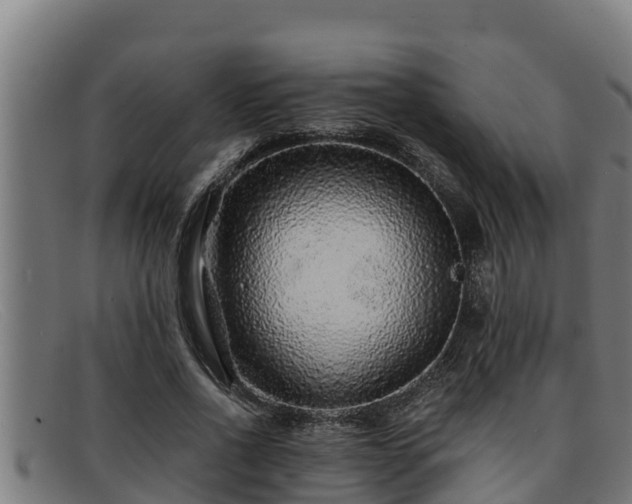 X0000091860734200709121329