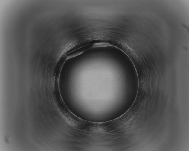 X0000091860735200709121329