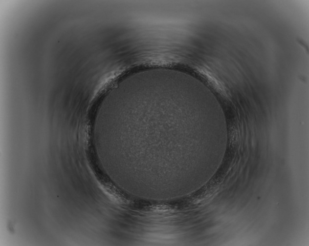 X0000091860736200709121329