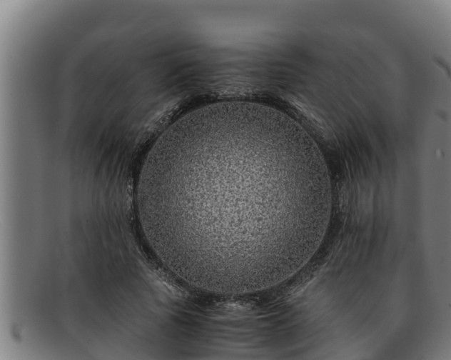 X0000091860737200709121329