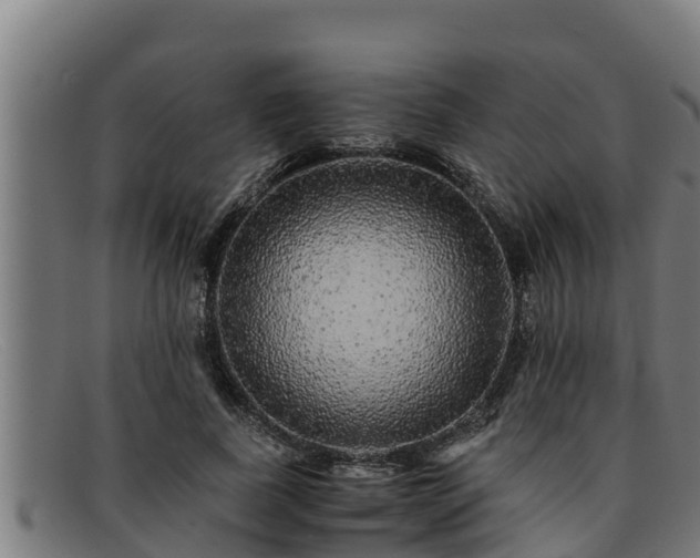 X0000091860739200709121329