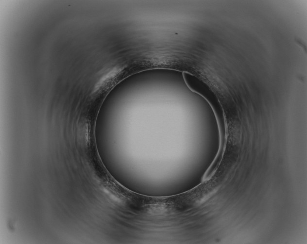 X0000091860740200709121329