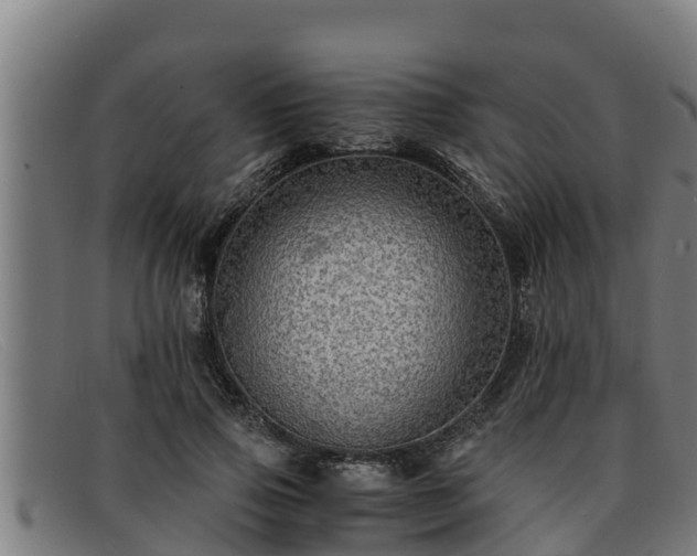 X0000091860741200709121329