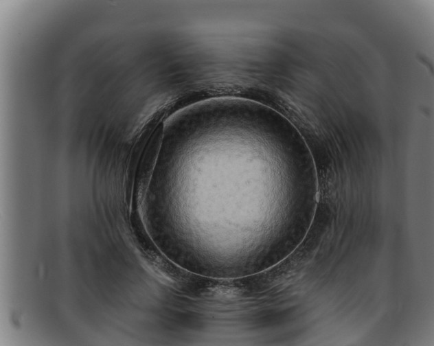 X0000091860742200709121329