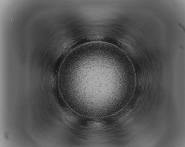 X0000091860743200709121329