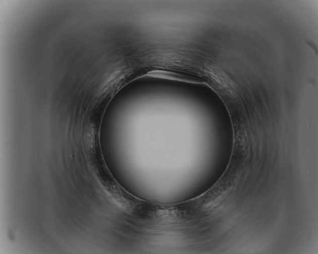 X0000091860744200709121329