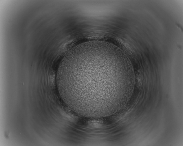 X0000091860745200709121329