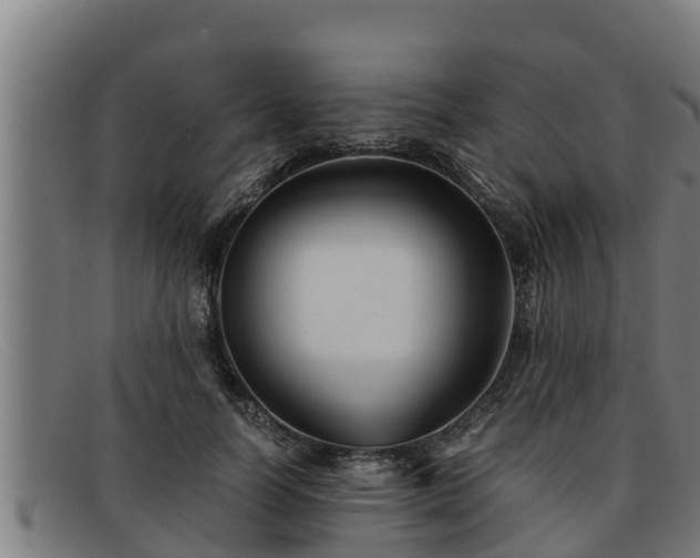 X0000091860746200709121329