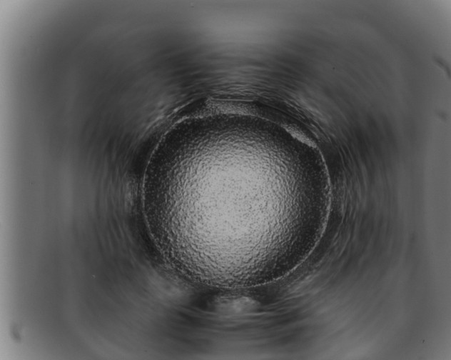 X0000091860747200709121329