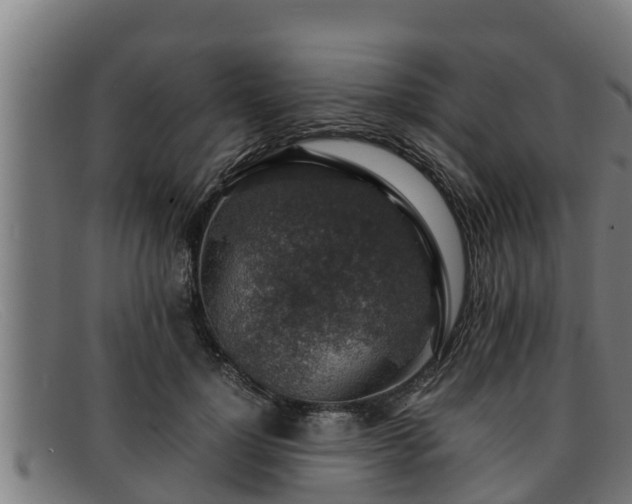 X0000091860748200709121329