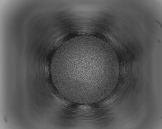 X0000091860749200709121329