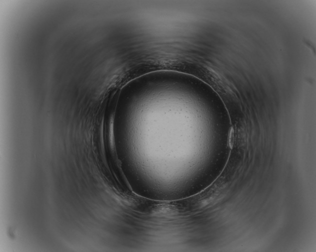 X0000091860750200709121329