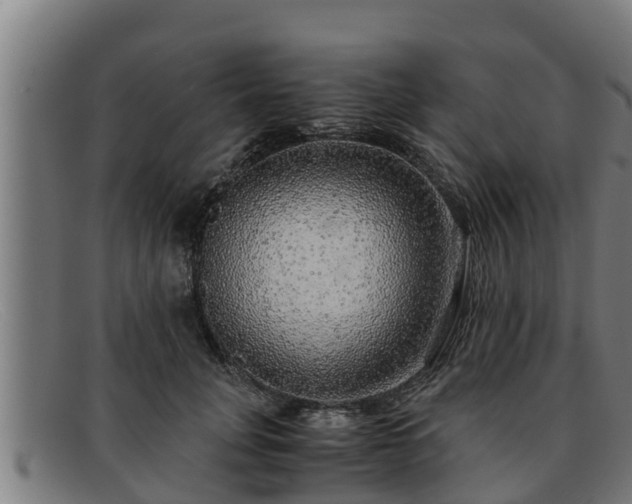 X0000091860751200709121329