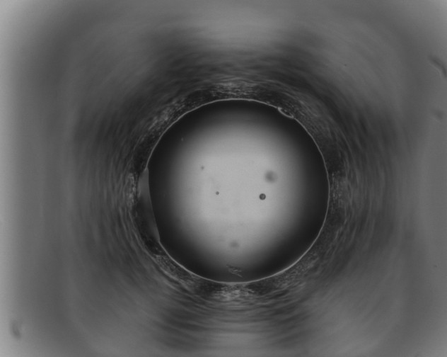 X0000091860752200709121329