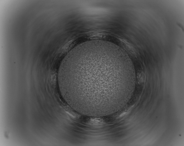 X0000091860753200709121329