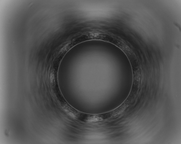 X0000091860754200709121330