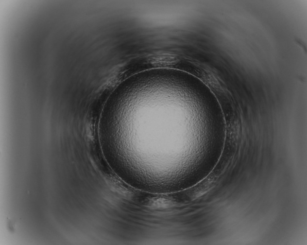 X0000091860755200709121330