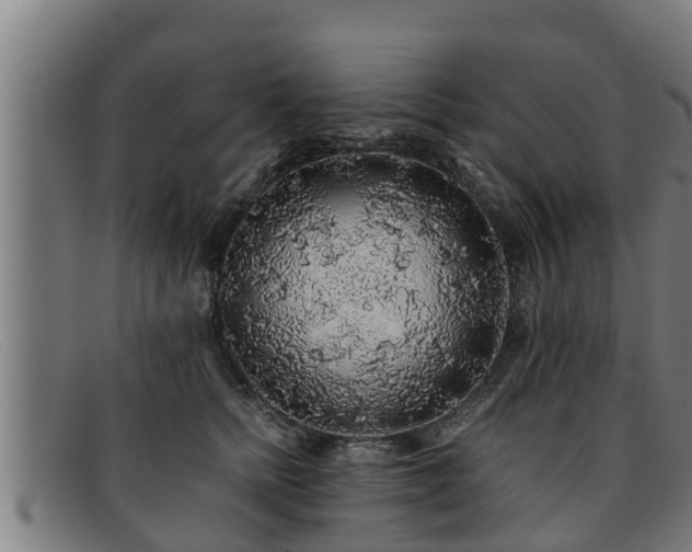 X0000091860758200709121330