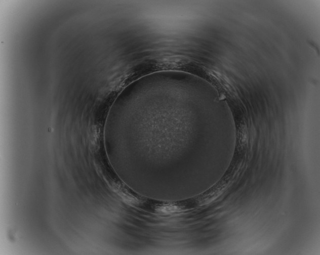 X0000091860759200709121330