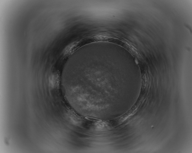 X0000091860762200709121330