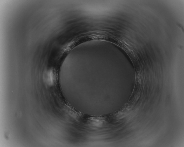 X0000091860763200709121330