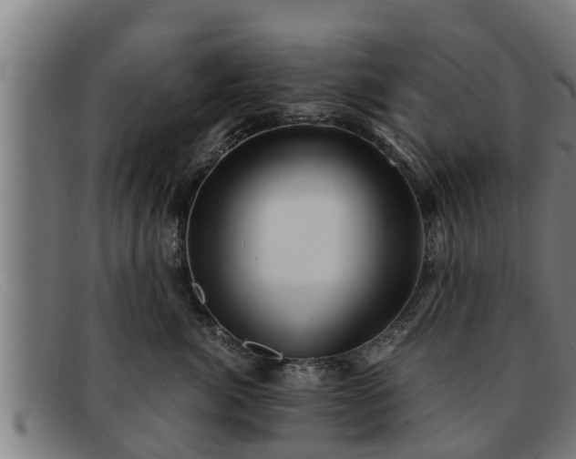 X0000091860764200709121330